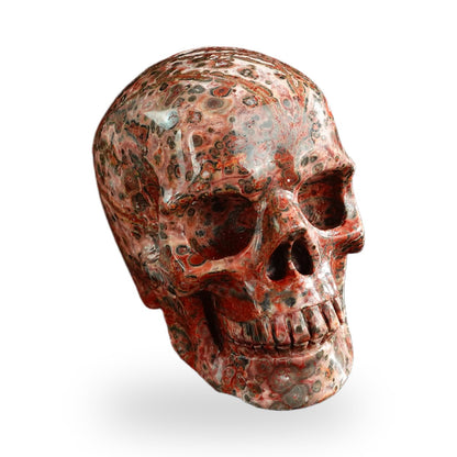 Red Leopard Skin Jasper crystal skull 3" SKH30LS14 photo 3
