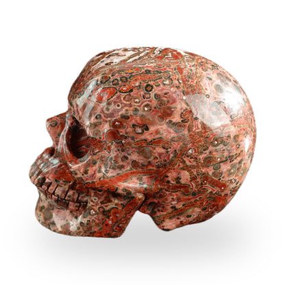 Red Leopard Skin Jasper crystal skull 3" SKH30LS14 photo 6
