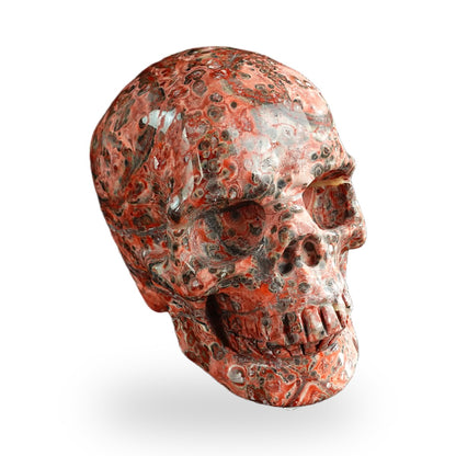 Red Leopard Skin Jasper crystal skull 3" SKH30LS15 photo 2