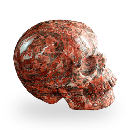Red Leopard Skin Jasper crystal skull 3" SKH30LS15 photo 4