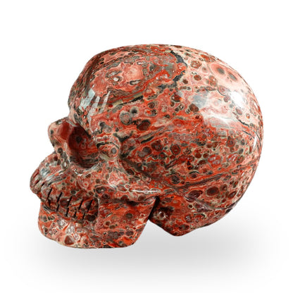 Red Leopard Skin Jasper crystal skull 3" SKH30LS15 photo 6