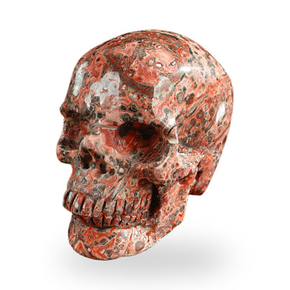 Red Leopard Skin Jasper crystal skull 3" SKH30LS15 photo 8