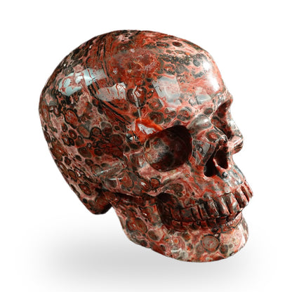 Red Leopard Skin Jasper crystal skull 3" SKH30LS16 photo 3