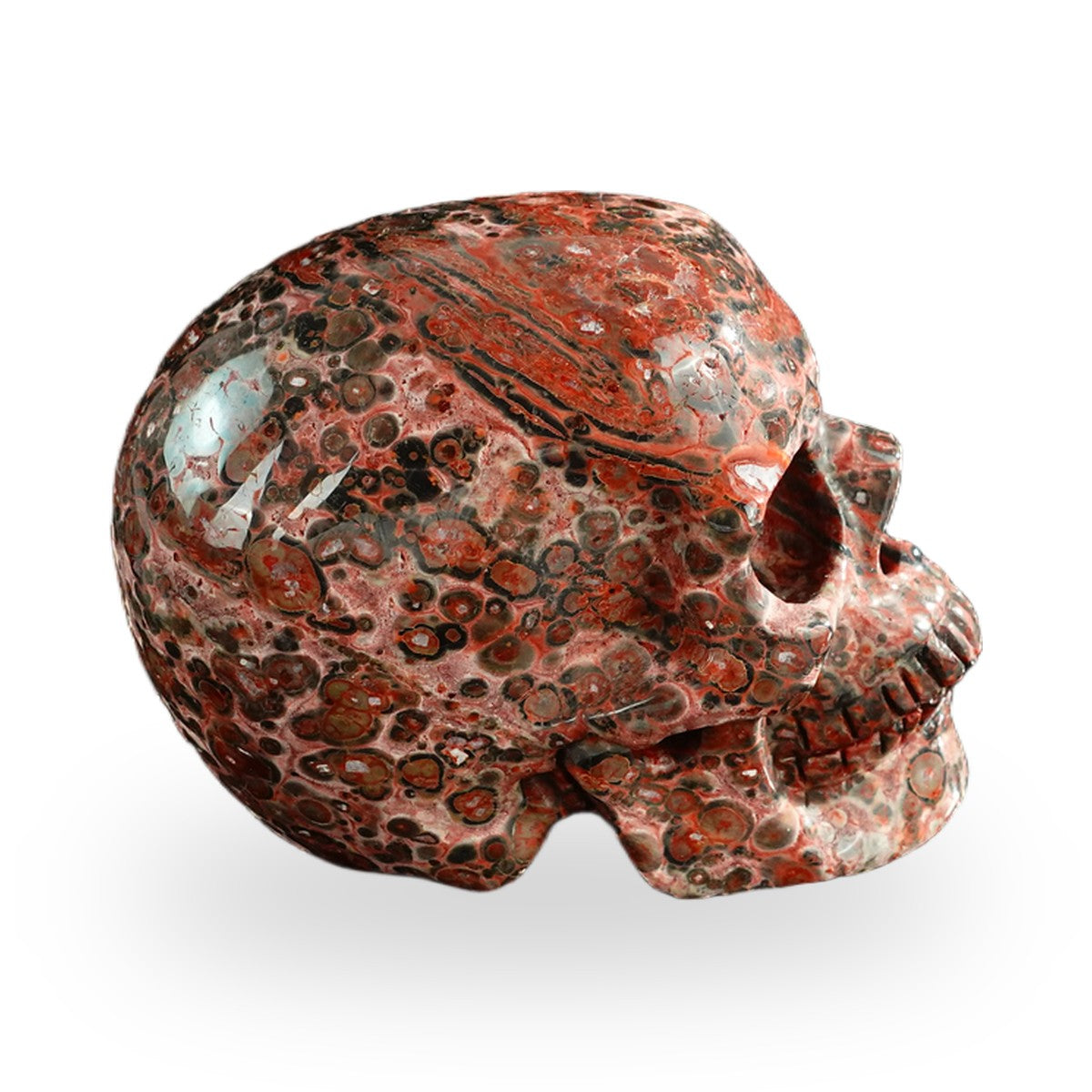 Red Leopard Skin Jasper crystal skull 3" SKH30LS16 photo 5