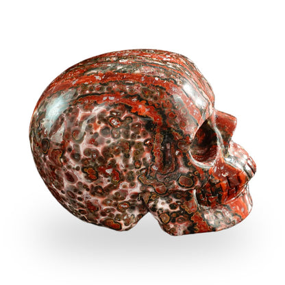 Red Leopard Skin Jasper crystal skull 3" SKH30LS17 photo 5