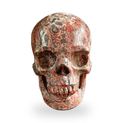 Red Leopard Skin Jasper crystal skull 3" SKH30LS18 photo 1