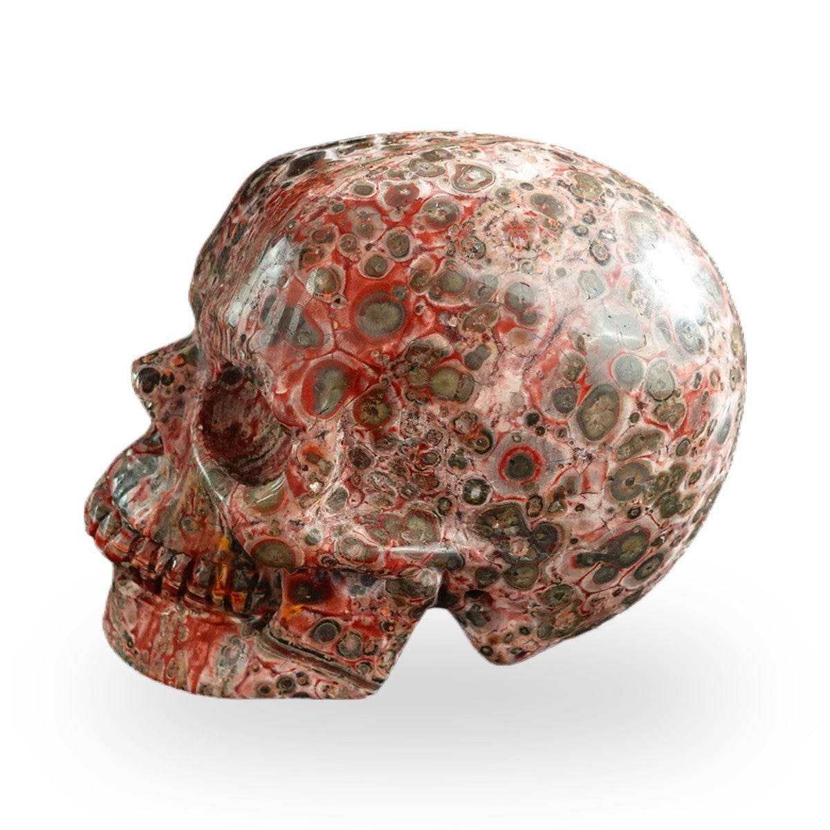 Red Leopard Skin Jasper crystal skull 3" SKH30LS18 photo 6