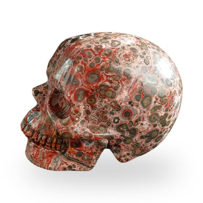 Red Leopard Skin Jasper crystal skull 3" SKH30LS18 photo 6
