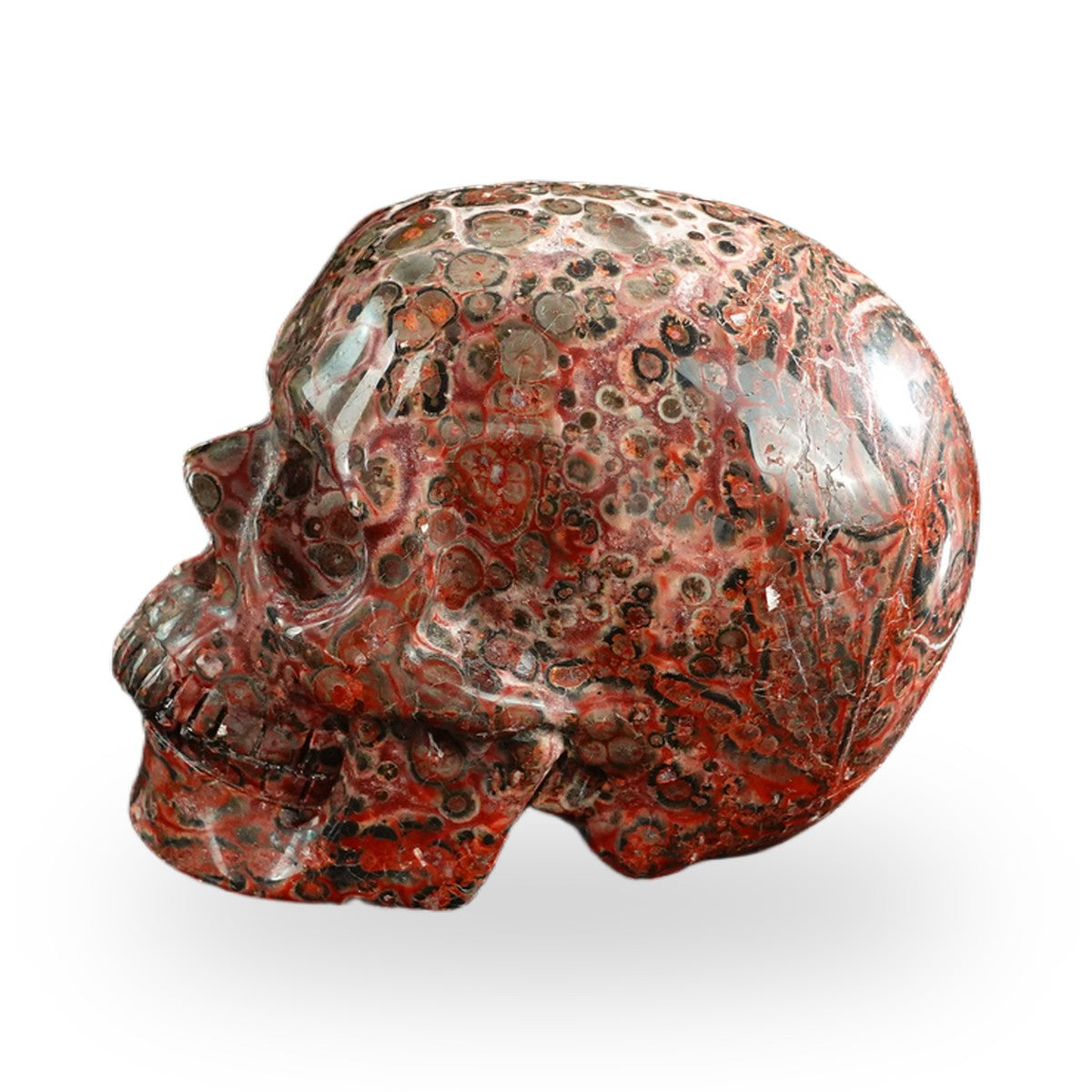 Red Leopard Skin Jasper crystal skull 3" SKH30LS19 photo 8