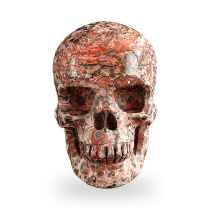 Red Leopard Skin Jasper crystal skull 3" SKH30LS20 photo 1