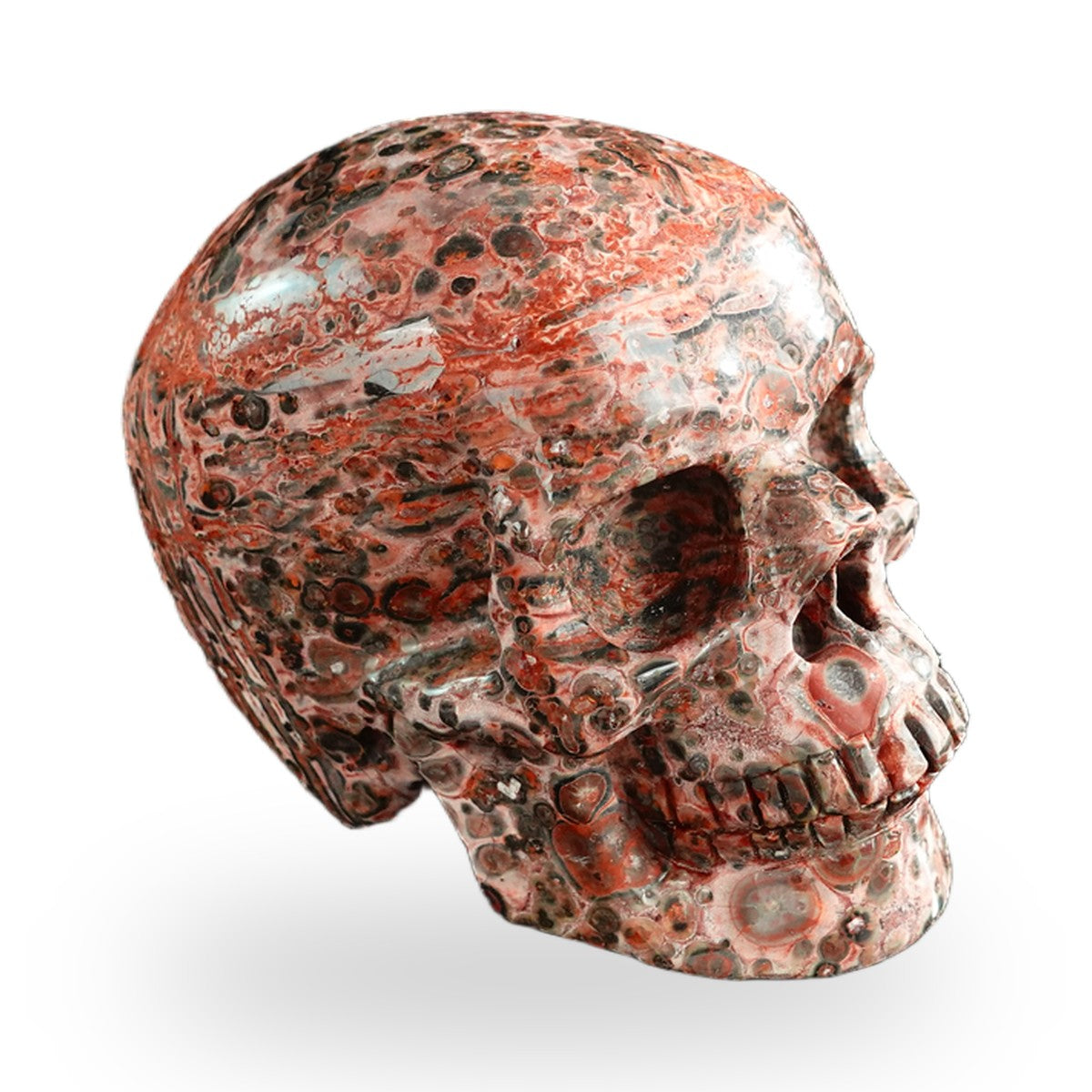 Red Leopard Skin Jasper crystal skull 3" SKH30LS20 photo 4
