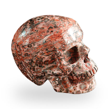 Red Leopard Skin Jasper crystal skull 3" SKH30LS20 photo 5