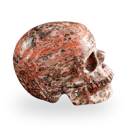 Red Leopard Skin Jasper crystal skull 3" SKH30LS20 photo 6