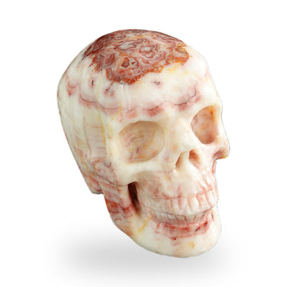 Rhodochrosite crystal skull 3" SKH30ZS04 photo 3