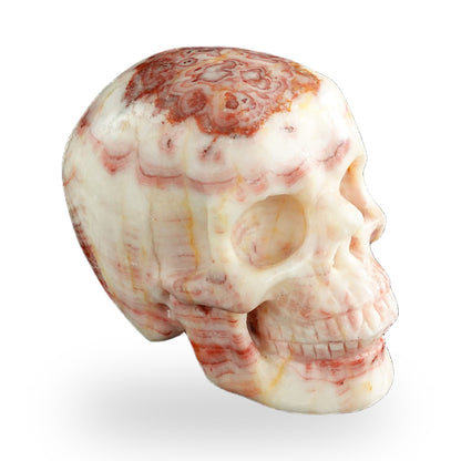 Rhodochrosite crystal skull 3" SKH30ZS04 photo 4