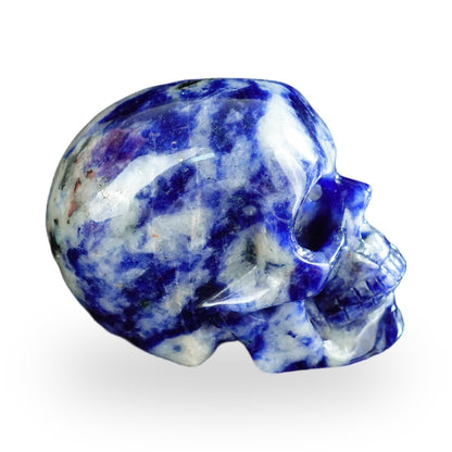 Sodalite crystal skull 2.2" SKH20SL05 photo 5