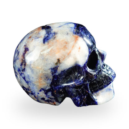 Sodalite crystal skull 2.2" SKH20SL08 photo 5