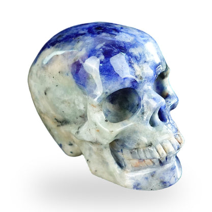 Sodalite crystal skull 2.2" SKH20SL11 photo 3