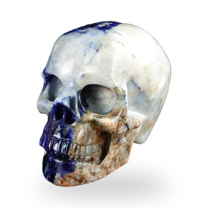 Sodalite crystal skull 2.2" SKH20SL17 photo 8