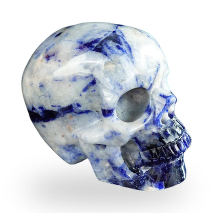 Sodalite crystal skull 2.2" SKH20SL18 photo 5