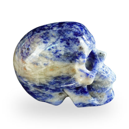 Sodalite crystal skull 2.2" SKH20SL20 photo 5