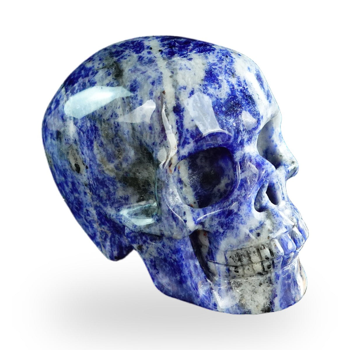 Sodalite crystal skull 3" SKH30SL01 view 3