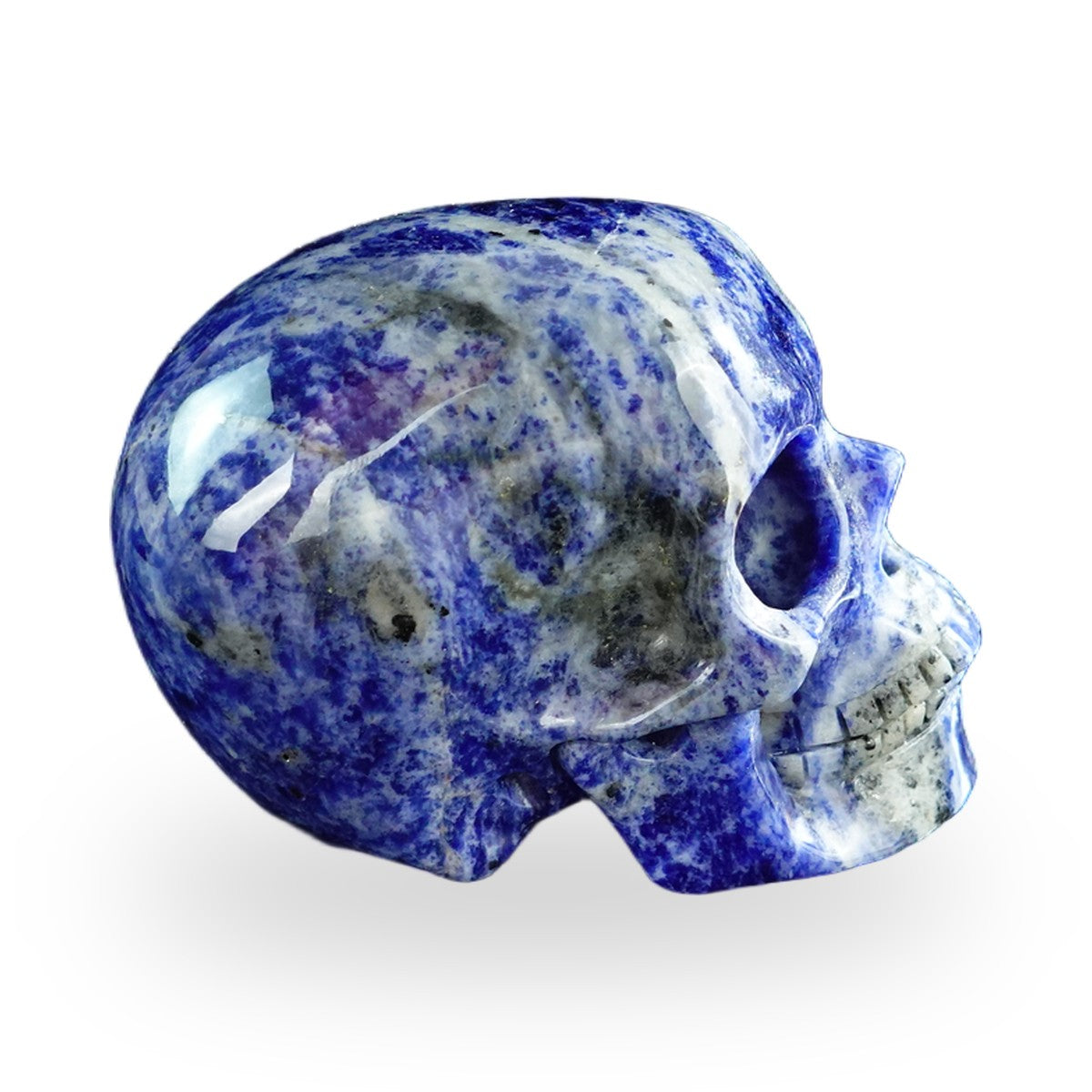 Sodalite crystal skull 3" SKH30SL01 view 5