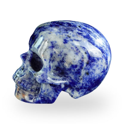 Sodalite crystal skull 3" SKH30SL01 view 6
