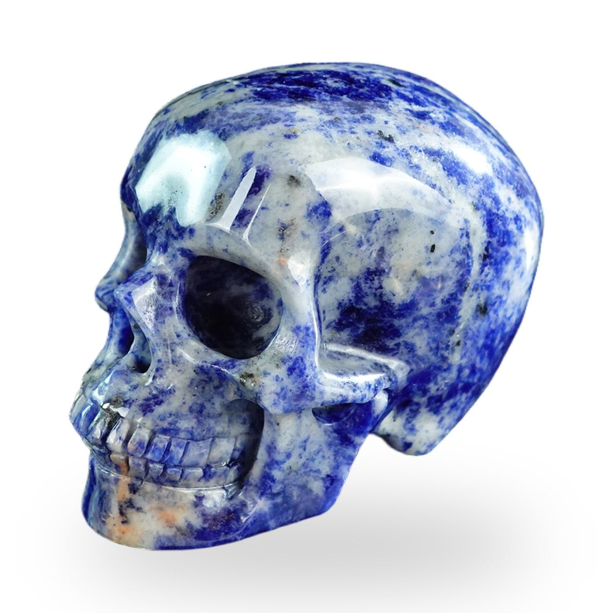 Sodalite crystal skull 3" SKH30SL01 view 7