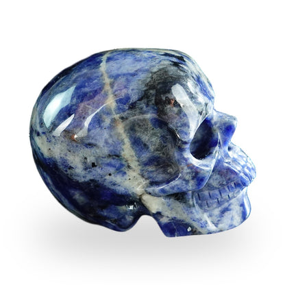 Sodalite crystal skull 3" SKH30SL02 photo 5