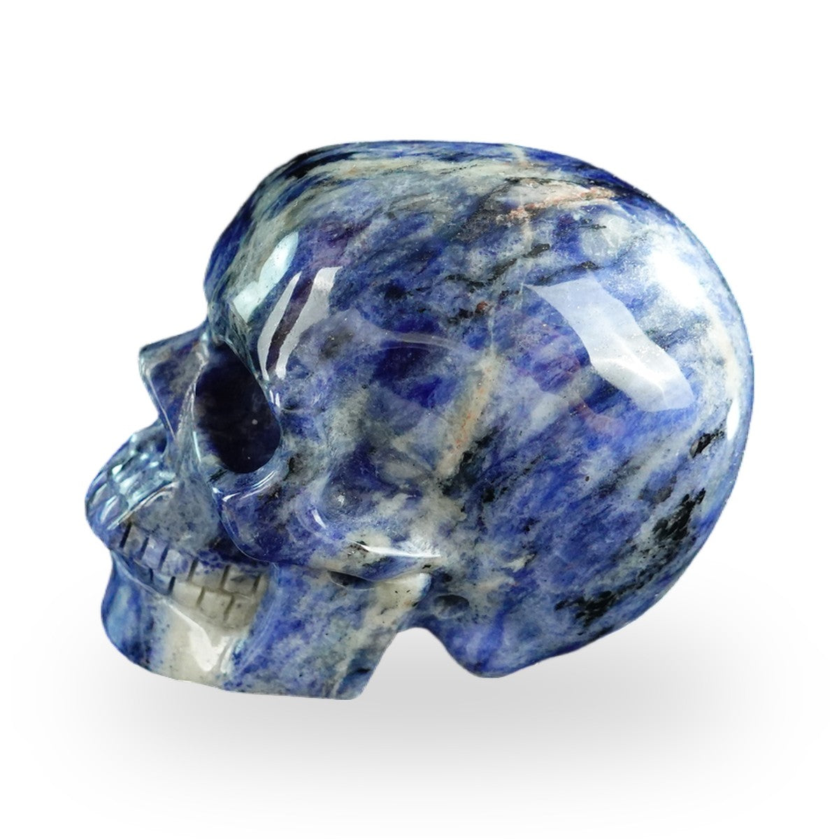 Sodalite crystal skull 3" SKH30SL02 photo 6