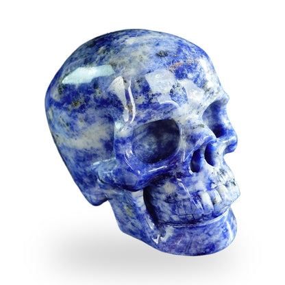 Sodalite crystal skull 3" SKH30SL03 photo 4