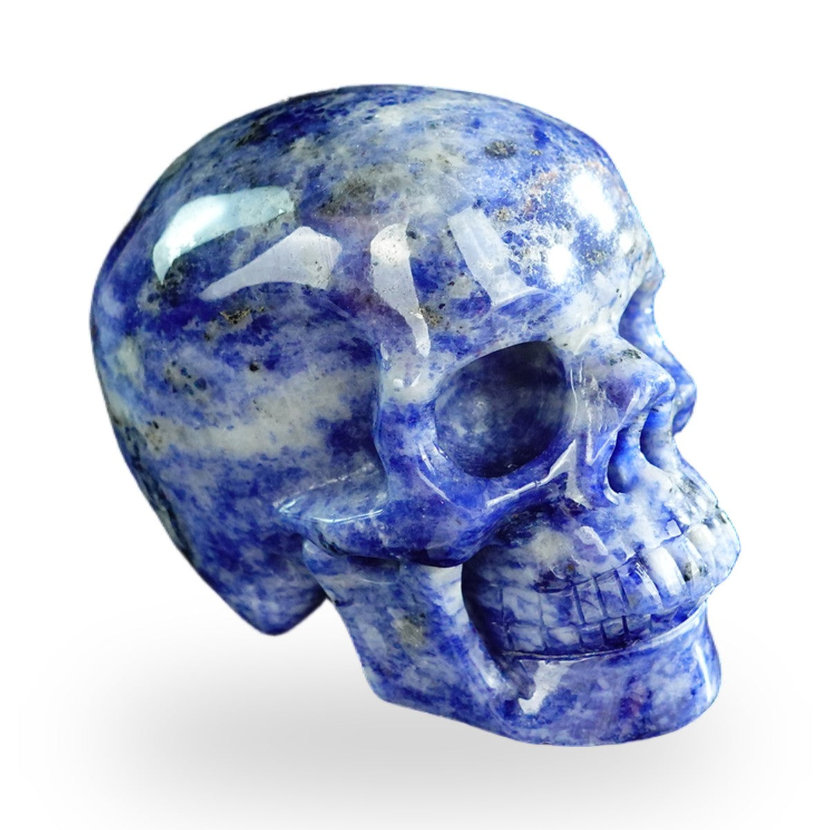 Sodalite crystal skull 3" SKH30SL03 photo 5