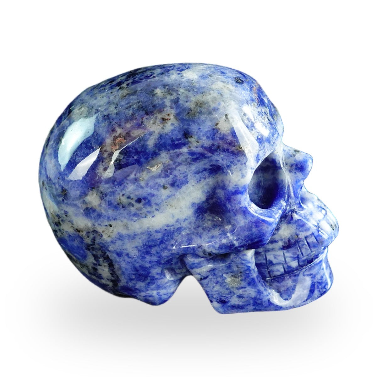 Sodalite crystal skull 3" SKH30SL03 photo 6