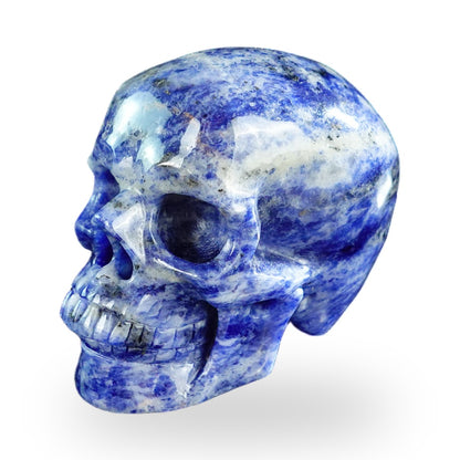 Sodalite crystal skull 3" SKH30SL03 photo 8