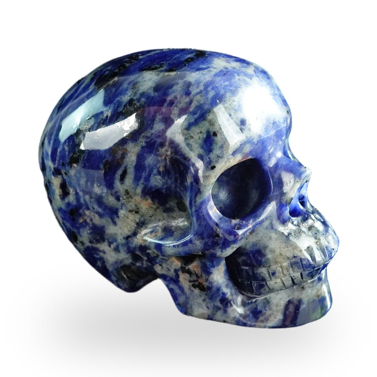 Sodalite crystal skull 3" SKH30SL04 photo 4