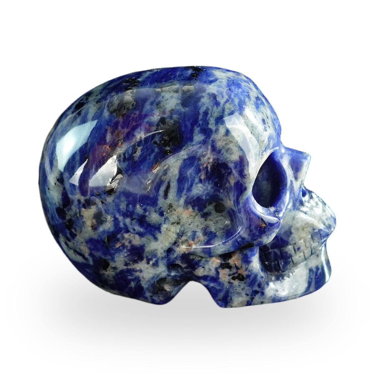 Sodalite crystal skull 3" SKH30SL04 photo 5