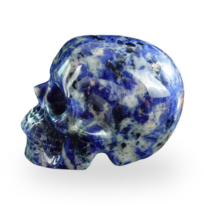 Sodalite crystal skull 3" SKH30SL04 photo 6