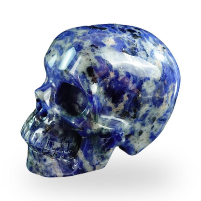 Sodalite crystal skull 3" SKH30SL04 photo 7