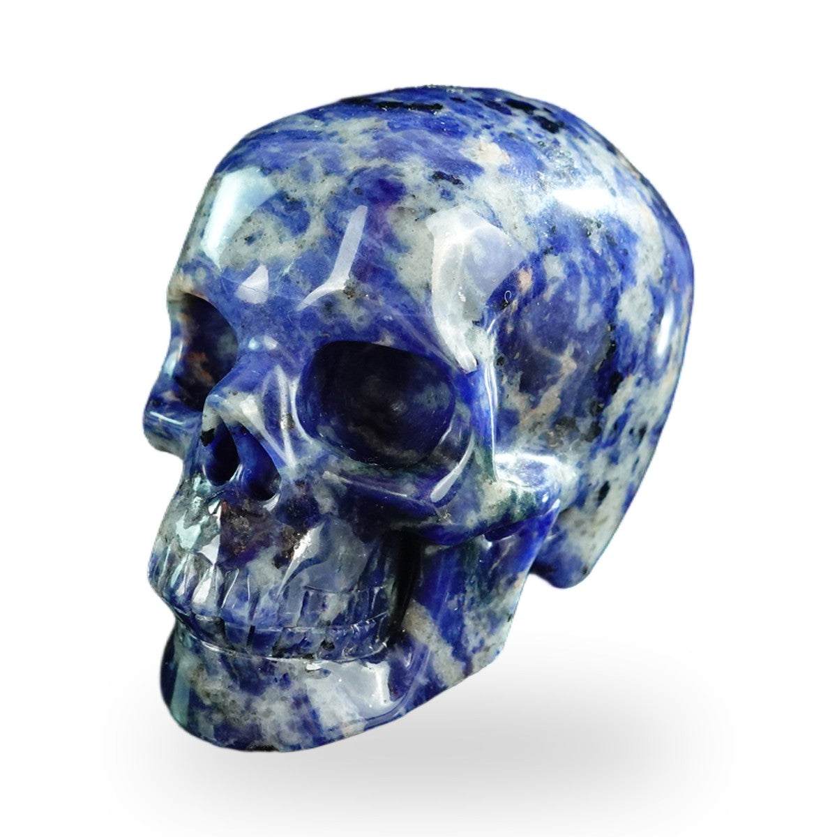 Sodalite crystal skull 3" SKH30SL04 photo 8