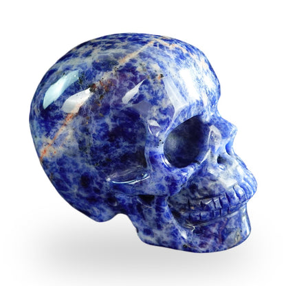 Sodalite crystal skull 3" SKH30SL05 photo 4