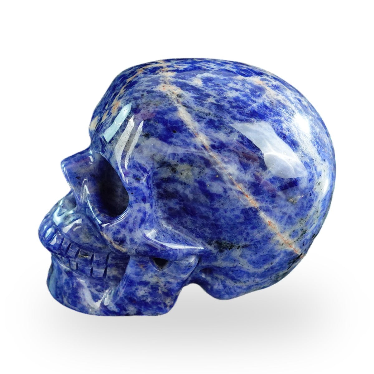 Sodalite crystal skull 3" SKH30SL05 photo 6