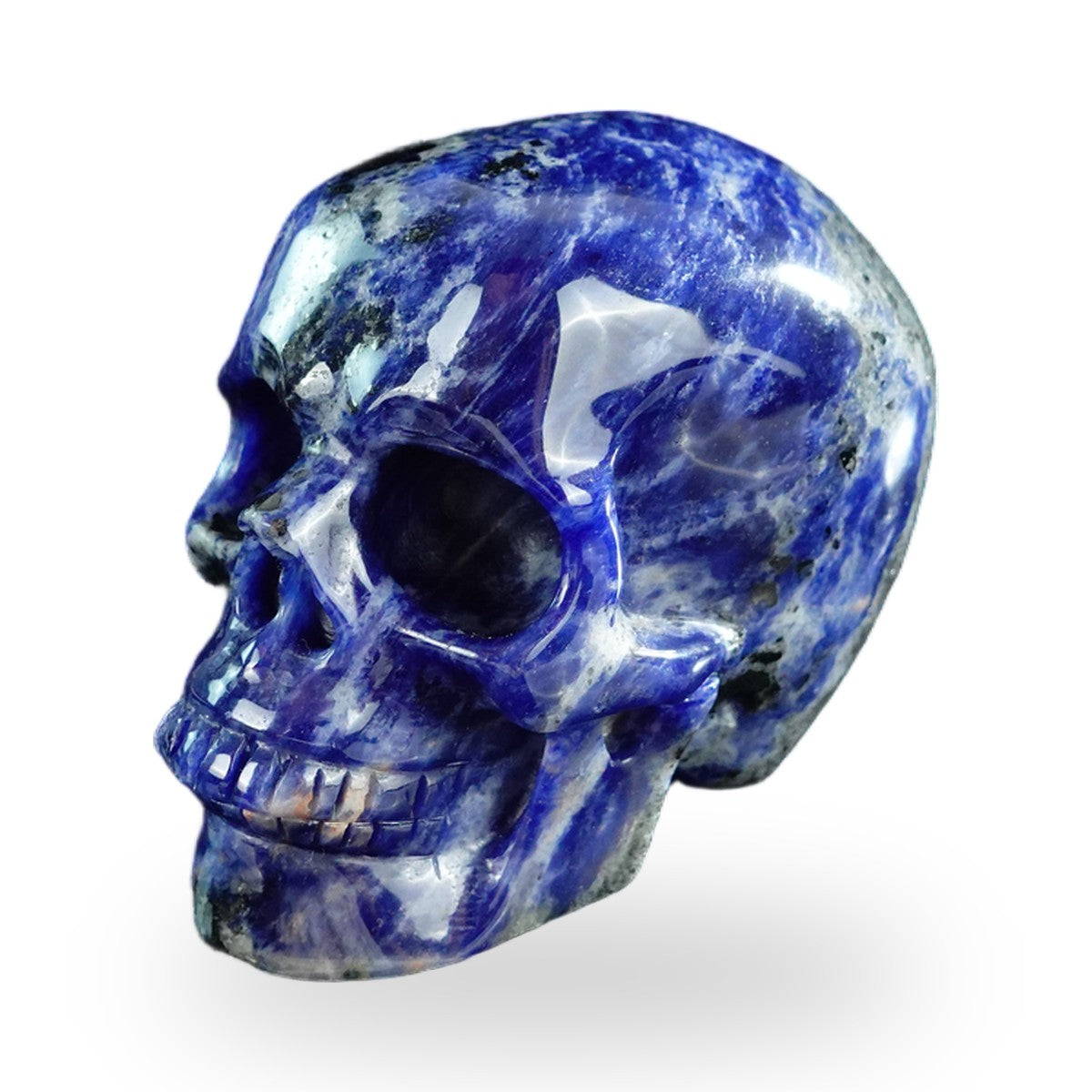 Sodalite crystal skull 3" SKH30SL06 photo 8