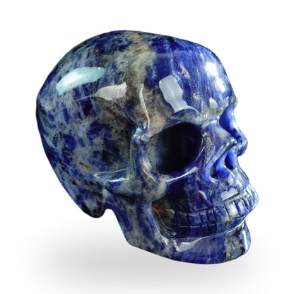 Sodalite crystal skull 3" SKH30SL07 photo 5