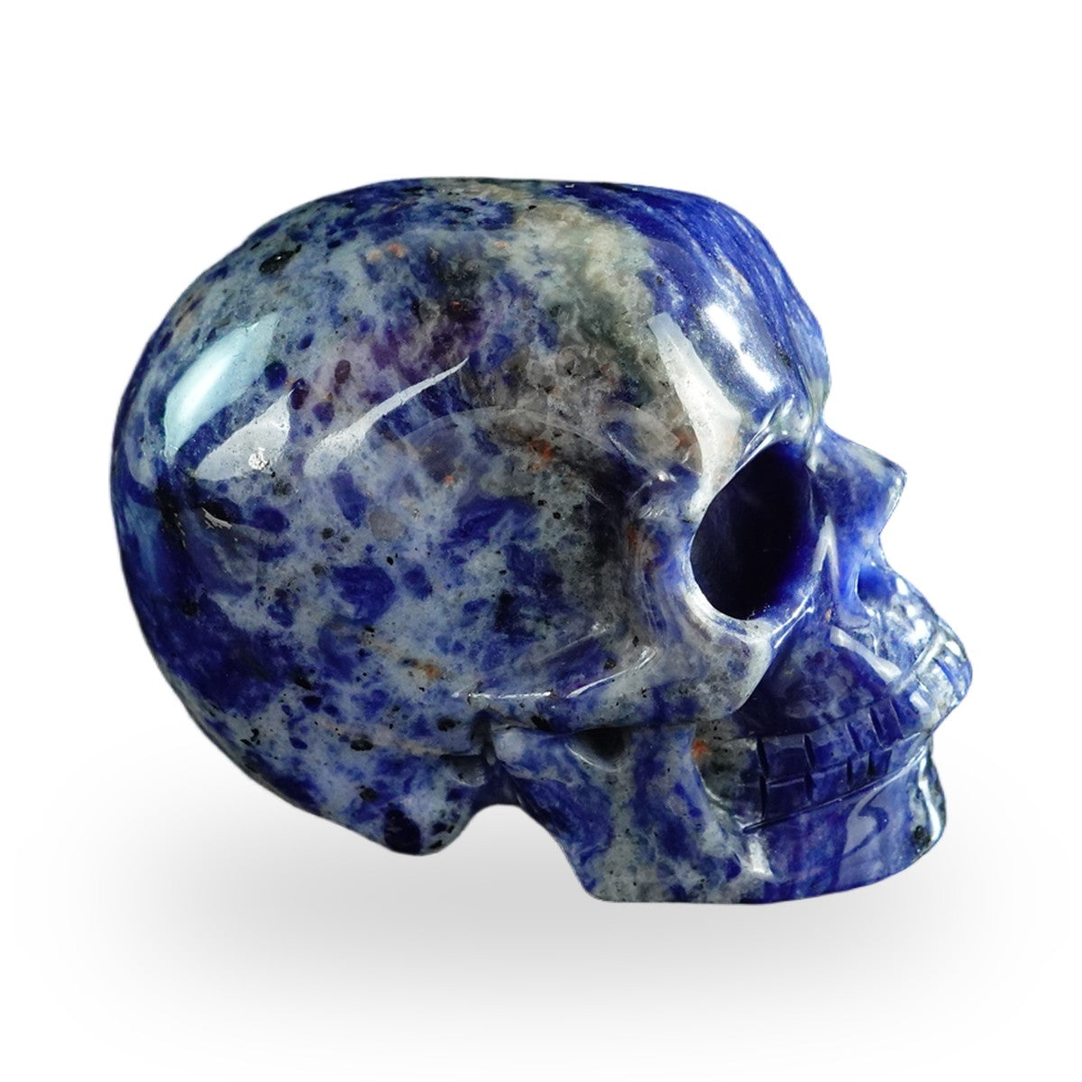 Sodalite crystal skull 3" SKH30SL07 photo 6