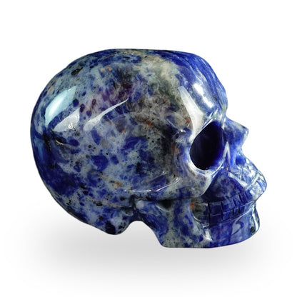 Sodalite crystal skull 3" SKH30SL07 photo 6