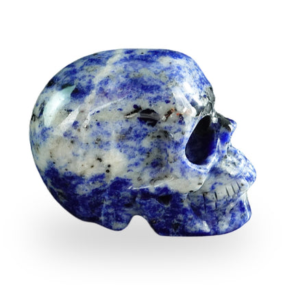 Sodalite crystal skull 3" SKH30SL08 photo 4