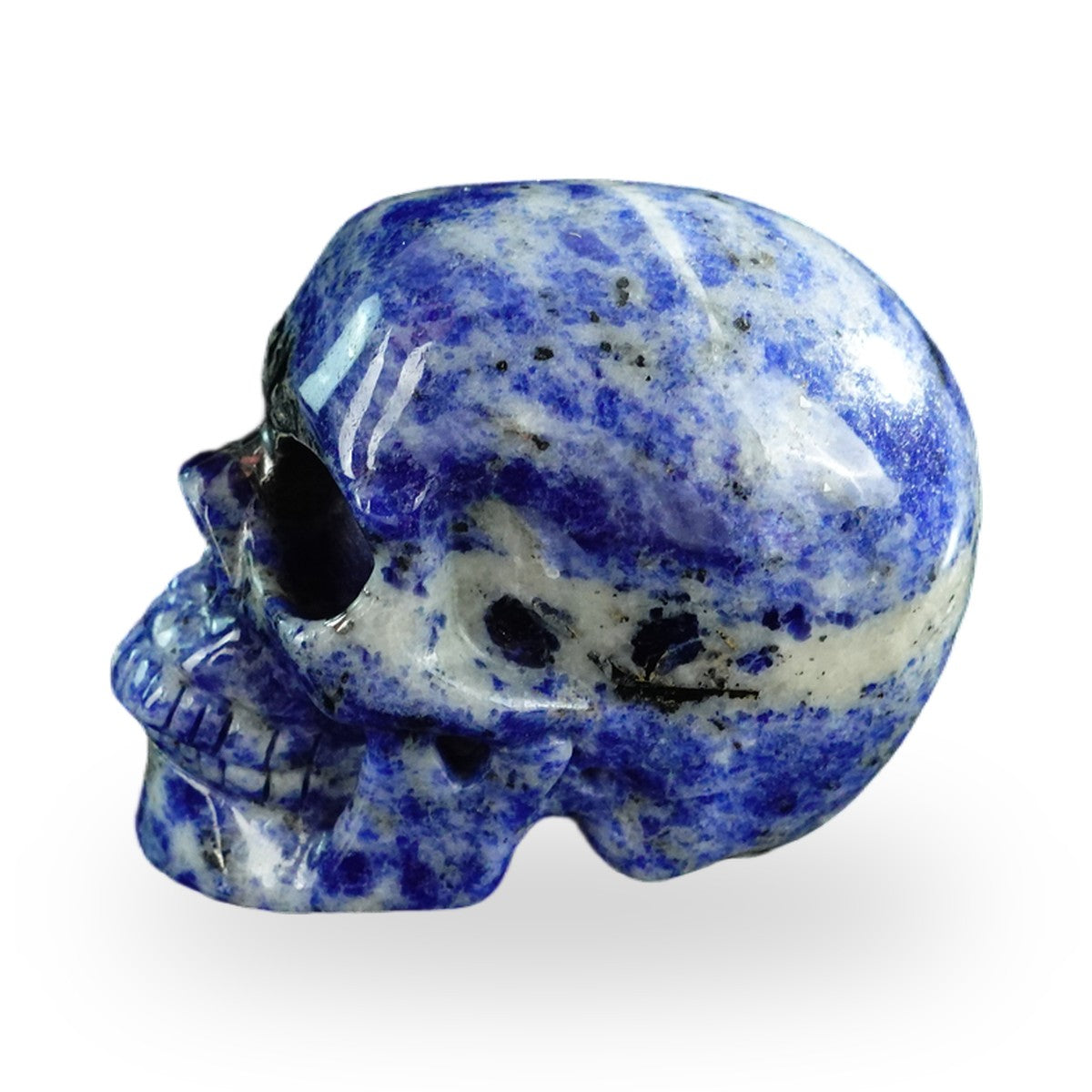 Sodalite crystal skull 3" SKH30SL08 photo 5