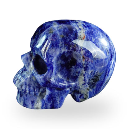 Sodalite crystal skull 3" SKH30SL09 photo 6