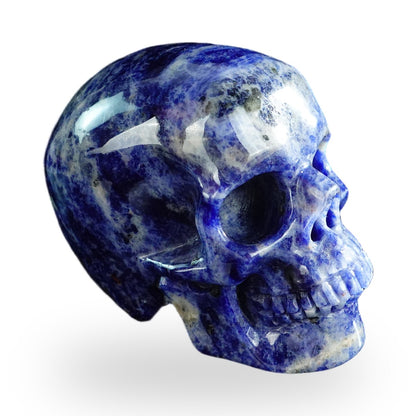 Sodalite crystal skull 3" SKH30SL10 photo 3